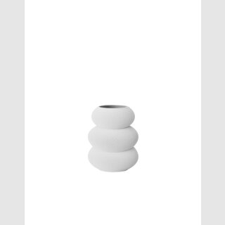 arctic white