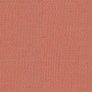 Rohi Credo Grapefruit