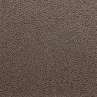 Leder Senso Walnut