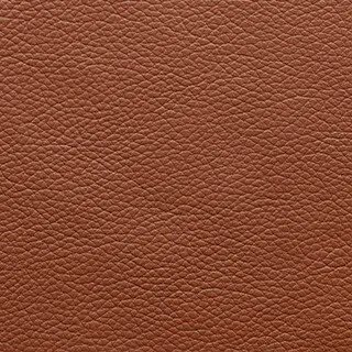 Leder Senso Caramel