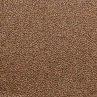 Leder Senso Camel